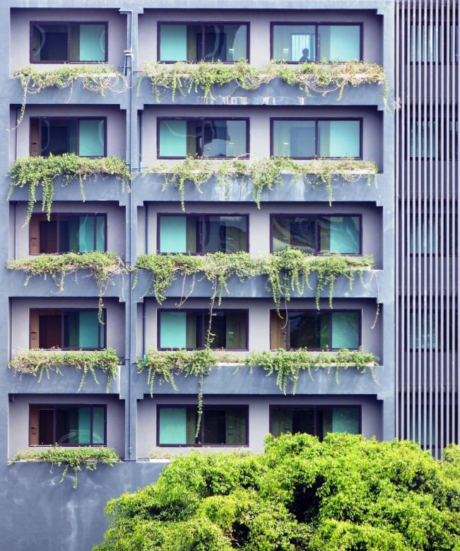 Multi-story apartment building with greenery in window boxes. 